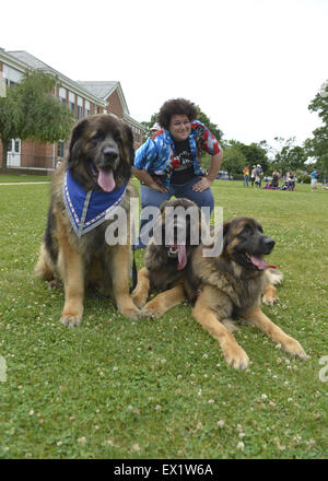 Wantagh, New York, USA. 4. Juli 2015. ADAM EZEGELIAN, American Idol Staffel 14 Finalist und Wantagh Resident, posiert mit drei Leonberger Hunde, die NYC-Boys, L-R, Mr. America, Hollywood und Magneto, nachdem Ezegelian beim Start von The Miss Wantagh Pageant Zeremonie nach der Wantagh 4. Juli sang Parade, eine langjährige Tradition der Unabhängigkeitstag auf Long Island. Die großen braunen und schwarzen Schauspieler Hunde, im Besitz von Morgan Avila, sind in dem Film The Equalizer, Off-Broadway-Stücken, die Westminster Dog Show, und Therapiehunde. Bildnachweis: Ann Parry/ZUMA Draht/Alamy Live-Nachrichten Stockfoto