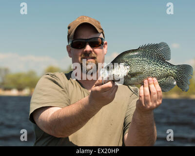 Großer schwarzer Crappie Stockfoto