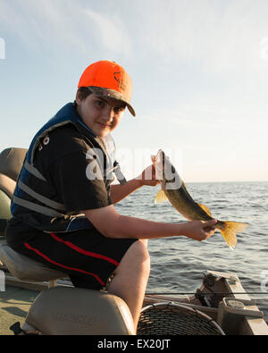 Zander Angeln in Minnesota Stockfoto