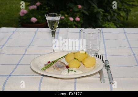 Traditionelle schwedische Mittsommer-Mahlzeit mit neuen Kartoffeln und Bismarckhering Stockfoto