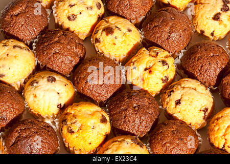 Frisch gebackene Schokolade und Plain Choc-Chip Muffins in diagonalen Reihen füllen das Bild Stockfoto