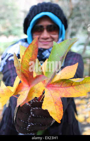 Erwachsenen muslimischen Frau hält eine Reihe von Herbst fährt um Emerald Lake Park Melbourne Victoria Australien Stockfoto