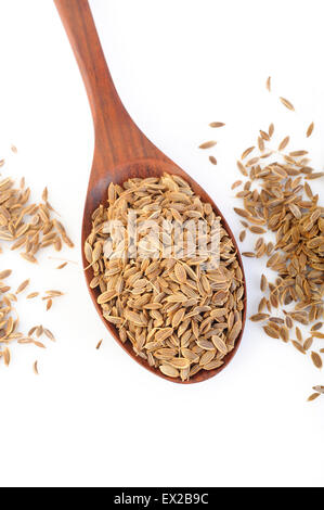 Dillsamen in Holzlöffel Stockfoto