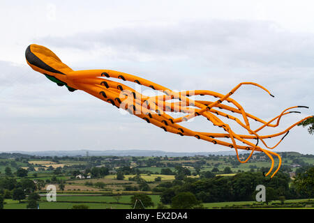 Hoghton, Lancashire, UK. 5. Juli 2015. Große Krake Parafoil Drachen der nördlichen Kite Gruppe und der Hoghton Tower Preservation Trust präsentiert einen weiteren bunten Kite-Tag auf Hoghton Tower fliegenden Drachen hoch über Lancashire Hilltop historischen Haus. Drachen in allen Formen und Größen erhellt den Himmel. Bildnachweis: Mar Photographics/Alamy Live-Nachrichten Stockfoto