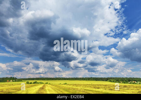 Flug am Morgen von den Heißluftballons. Stockfoto