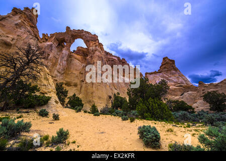 Grosvenor Arch Sandstein Doppelbogen befindet sich im Grand Staircase-Escalante National Monument Stockfoto