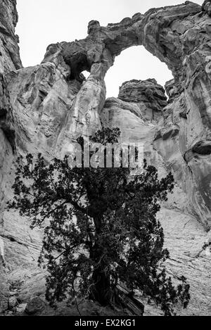 Grosvenor Arch Sandstein Doppelbogen befindet sich im Grand Staircase-Escalante National Monument Stockfoto