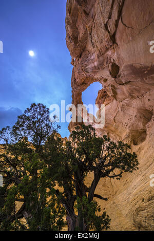 Grosvenor Arch Sandstein Doppelbogen befindet sich im Grand Staircase-Escalante National Monument Stockfoto