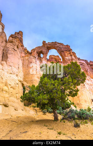 Grosvenor Arch Sandstein Doppelbogen befindet sich im Grand Staircase-Escalante National Monument Stockfoto