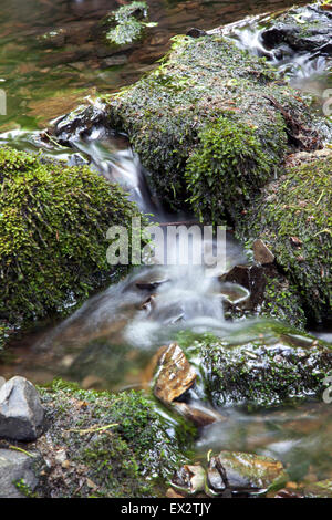 Kleiner Bach Wasser Rauschen über Felsen am Canonteign Falls, Dartmoor National Park, England (ein Englands höchste Wasserfälle) Stockfoto