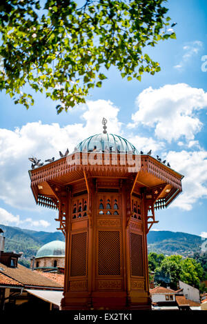 Historische Brunnen in Sarajevo Stockfoto