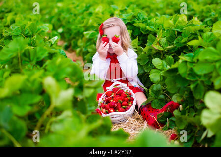 Kinder pflücken Erdbeeren. Kinder wählen Sie frisches Obst auf Erdbeer Biobauernhof. Kinder im Garten und Ernte. Stockfoto
