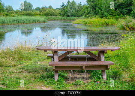 Picknickbank in ländlicher Umgebung an einem See im Sommer Stockfoto