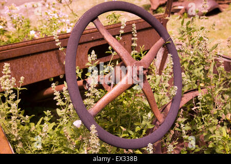 Relikte aus einer längst vergangenen Bergbau Boom Wurf der Hauptstraße der Mogollon, einer der buntesten New Mexico "lebendige Geisterstädte." Stockfoto