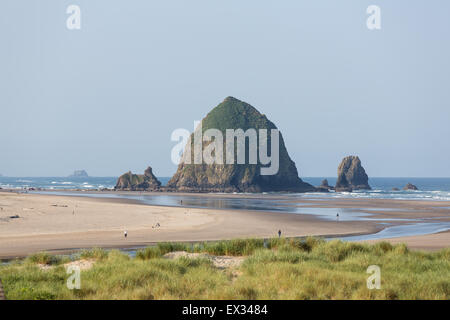 Ein Blick auf die legendären Haystack Rock in der Nähe von Ecola Creek in Cannon Beach, Oregon. Stockfoto