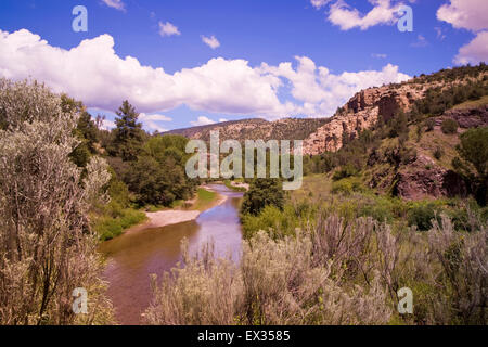 Der Gila River, letzte im Südwesten großer frei fließende Flüsse, unterstützt eine erstaunliche Vielzahl von Tier- und Pflanzenwelt. Stockfoto