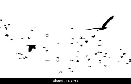 Zugvögel Stock Vektor