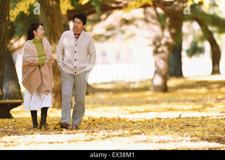 Senior japanisches Ehepaar in einem Stadtpark im Herbst Stockfoto