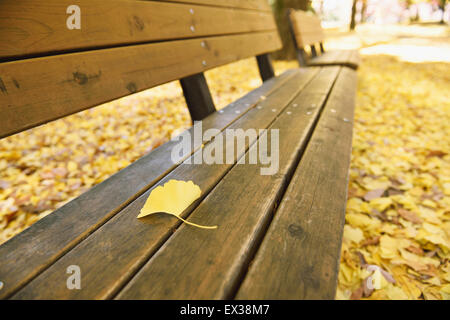 Blatt auf einer Bank im Stadtpark im Herbst gefallen Stockfoto