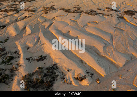 Meerwasser-Spuren am Sandstrand. Stockfoto