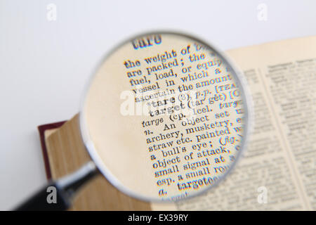 Wörterbuch und Lupe Stockfoto