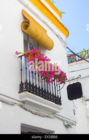 Typische Fenster mit Gitter und dekorative Blumen in der Stadt Córdoba, Spanien Stockfoto