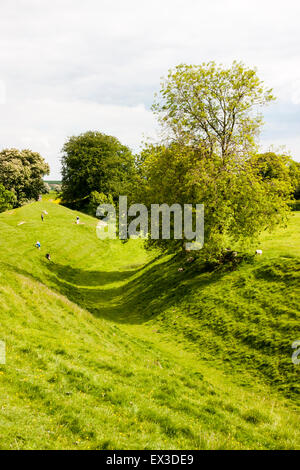 Steinkreis von Avebury in England. Teil der Erdarbeiten, einen großen Graben mit künstlichen Damm um den Steinkreis. Schafe und Menschen. Stockfoto