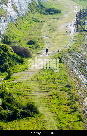 Die berühmten Weißen Felsen von Dover, Auge des Vogels Ansicht von einsam einsame Frauen Hund Weg entlang der Klippen. Sie ist von der Landschaft in den Schatten gestellt. Stockfoto