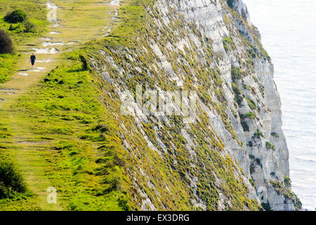 Die berühmten Weißen Felsen von Dover, Auge des Vogels Ansicht von einsam einsame Frauen Hund Weg entlang der Klippen. Sie ist von der Landschaft in den Schatten gestellt. Stockfoto