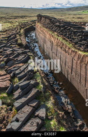 Schneiden von Torf auf ein Torfmoor, Yell, Shetland Islands, Schottland, Vereinigtes Königreich Stockfoto