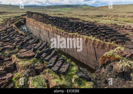 Schneiden von Torf auf ein Torfmoor, Yell, Shetland Islands, Schottland, Vereinigtes Königreich Stockfoto