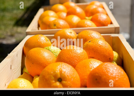 viel reifer Orangen in Holzkisten Stockfoto