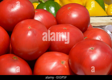 viele reife Tomaten in Holzkisten hautnah Stockfoto