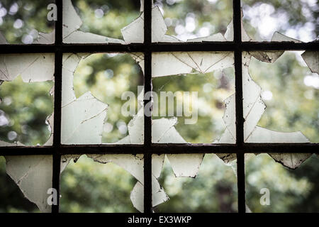 Zerbrochenes Glas windows Stockfoto