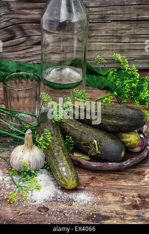 Saure Gurken mit Dill und Wodka Schnapsglas auf hölzernen Hintergrund im Landhausstil. Foto getönt. Stockfoto