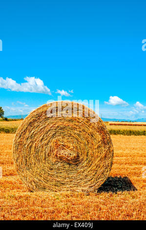 eine große Runde Strohballen auf eine Ernte-Gebiet in Spanien nach der Ernte Stockfoto