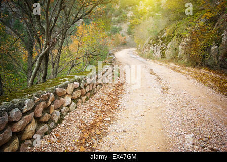 Straße im Herbst Canyon. Natur-Komposition. Stockfoto