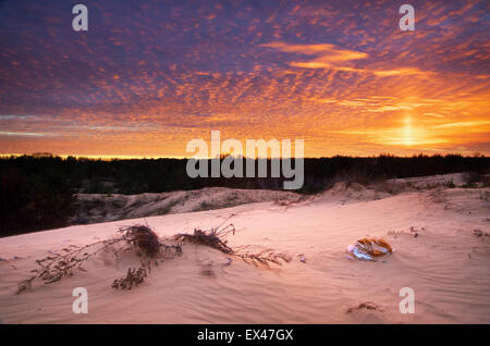 Schöne Landschaft in der Wüste.  Zusammensetzung der Natur. Stockfoto