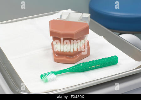 Satz von Zahnersatz und Zahnbürste auf einem Tablett Stockfoto