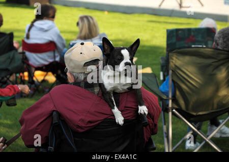 Mann trägt seinen Hund bei einem Gemeinde-Konzert in Montague, Michigan, USA. Stockfoto