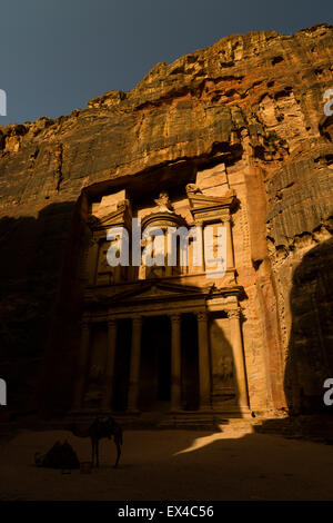 Petra, Jordanien, 8. Juni. Paar Kamele ausruhen vor Petras Schatzkammer. Stockfoto