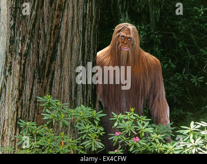 Eine Bigfoot oder Sasquatch versteckt im dichten Urwald im pazifischen Nordwesten Stockfoto