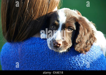 Mädchen mit Haustier Spaniel Welpen im Freien im Garten Stockfoto