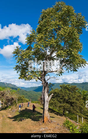 Vertikale Ansicht von Touristen zu Fuß durch die Landschaft im Topes de Collantes Nationalpark in Kuba. Stockfoto