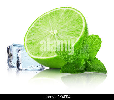 Limettenscheibe mit Minze Blätter und Eiswürfel auf dem weißen Hintergrund isoliert. Stockfoto