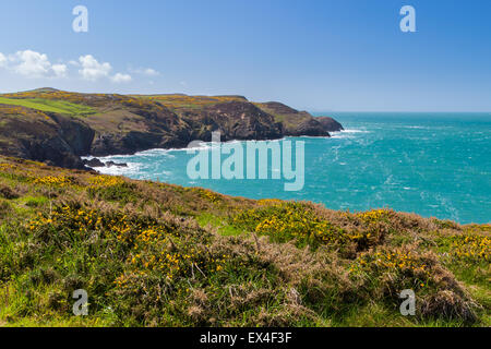 Ansichten von Strumble Head North Pembrokeshire, Wales Stockfoto