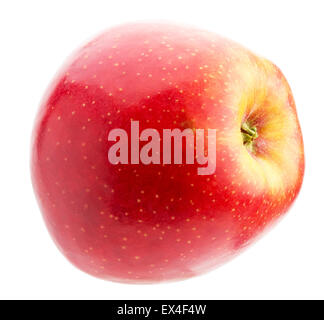 roter Apfel auf dem weißen Hintergrund isoliert. Stockfoto