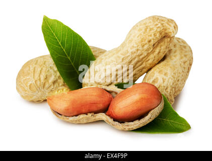 Erdnüsse in der Schale auf dem weißen Hintergrund isoliert. Stockfoto