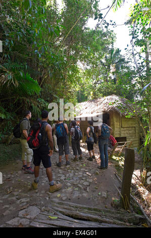 Vertikale Ansicht einer Reisegruppe an Fidels HQ während der Kubanischen Revolution in der Turquino National Park, Kuba. Stockfoto