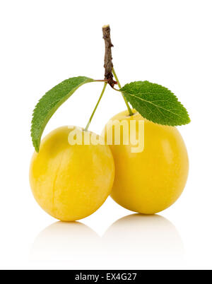 Gelbe Kirschen Pflaumen auf dem weißen Hintergrund isoliert. Stockfoto